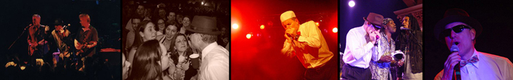 Dockta D.com logo